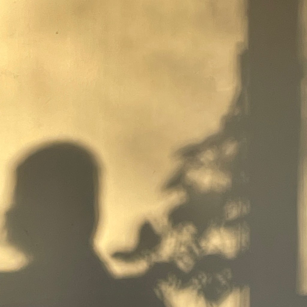 Hjelp, jeg er jusstudent!